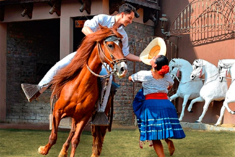 Depuis Lima : Sanctuaire de Pachcamac et cheval de paso