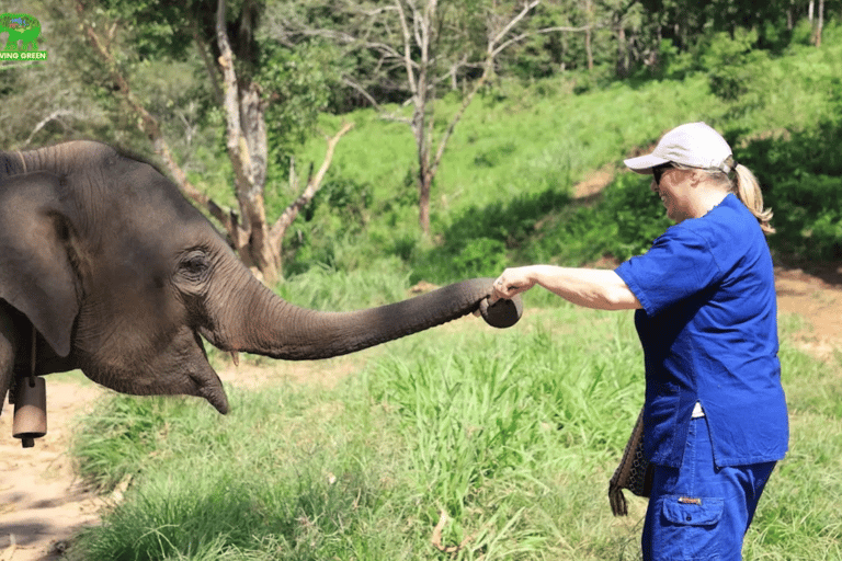 Chiang Mai: Halbtag Living Green Elephant SanctuaryVormittagssitzung: Halbtag Living Green Elephant Sanctuary