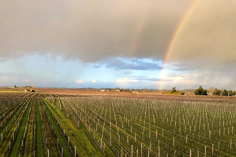 De Bordeaux: Excursão de meio dia ao vinho de Saint-EmilionSaint-Émilion: Excursão de meio dia a pé sobre vinhos