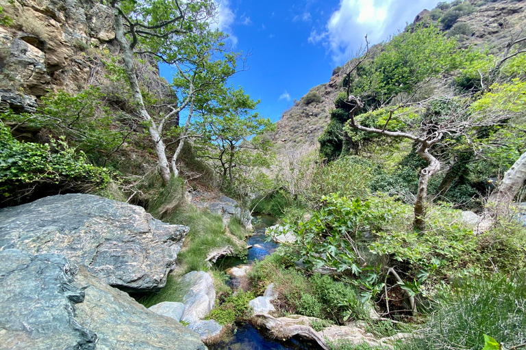 Kreta: Richtis Wasserfall Privat geführte Wanderung TourKreta: Richtis Wasserfall Private geführte Wanderung Tour