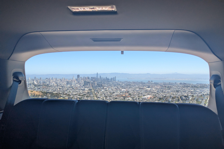 De San Francisco Tour Co. Luxe Eco Stadsrondleiding