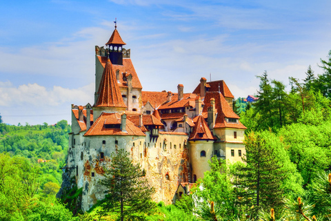 Bucharest : Peleș Castle, Dracula Castle and Brașov Day Trip