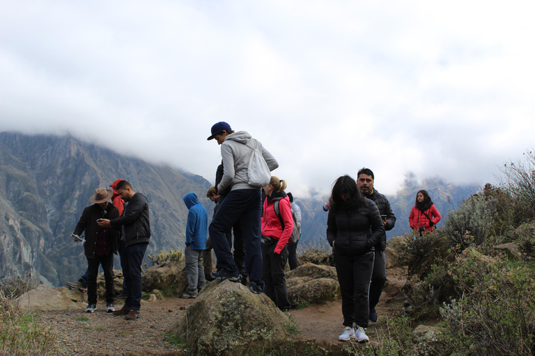 2 Days of Trekking through the Colca Canyon, Ending in Puno 2-Day Trekking in the Colca Canyon, ending in Puno