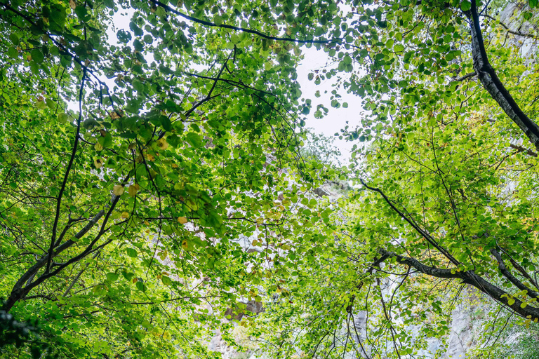 Canyoning Queralbs (Girona)