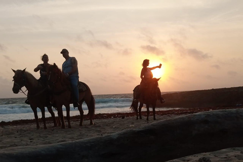 Aruba Puesta de Sol Vista Ride