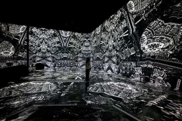 Houston: 'ARTECHOUSE' Exhibition and Gallery Entry Ticket