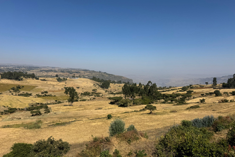 From Addis: Blue Nile Gorge, Baboons & Waterfalls