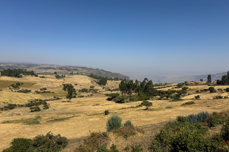 From Addis: Blue Nile Gorge, Baboons & Waterfalls