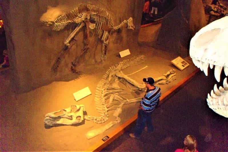 Day of Dinosaurs and Hoodoos From Calgary to Drumheller