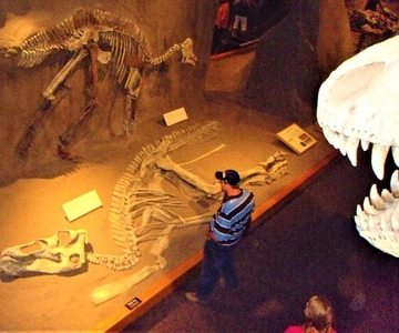 Dag van dinosaurussen en Hoodoos van Calgary naar de Badlands