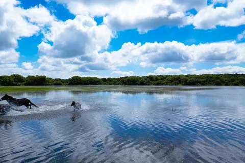 Tour Natura e fauna da Cagliari
