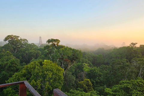 From Flores: Tikal National Park All Inclusive
