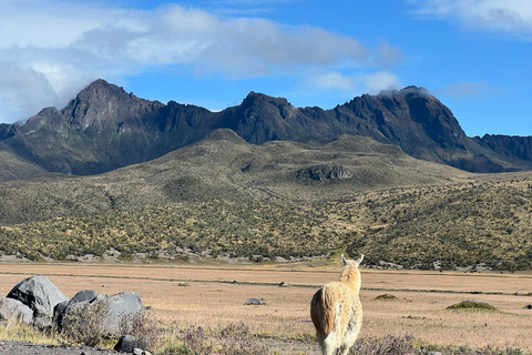 Top Quito Tour : Excursion d&#039;une journée au Cotopaxi et au Quilotoa