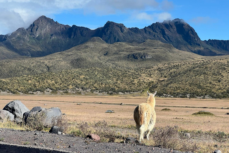 Top Quito Tour : Excursion d&#039;une journée au Cotopaxi et au Quilotoa