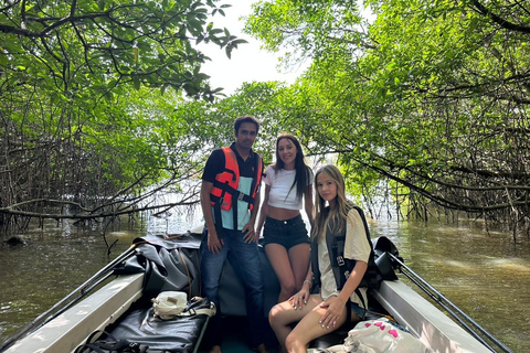 Sri Lanka: passeio pelos destaques da costa sul com mergulho com snorkel