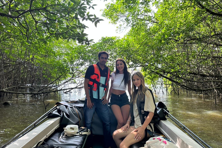 Sri Lanka: passeio pelos destaques da costa sul com mergulho com snorkel