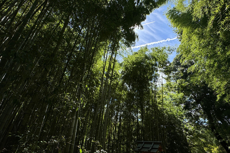 Nara : Explorez les mystères du sanctuaire d&#039;Omiwa