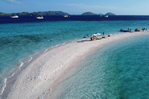 Komodo Speedboat Long Day Trip: 8 Highlights in One Day