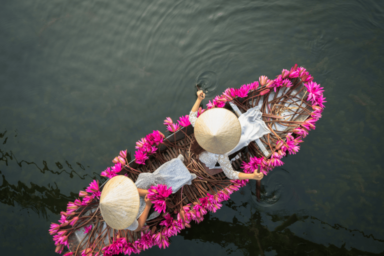 Hanoi: Ninh Binh Day Trip with Tam Coc, Hoa Lu, and Mua Cave