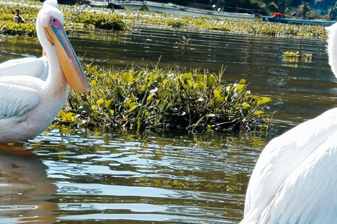 Nairobi: 3-Day Lake Nakuru, Hell’s Gate & Naivasha Safari