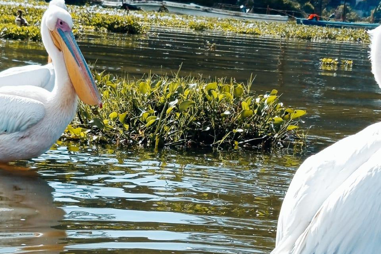Nairobi: 3-Day Lake Nakuru, Hell’s Gate & Naivasha Safari