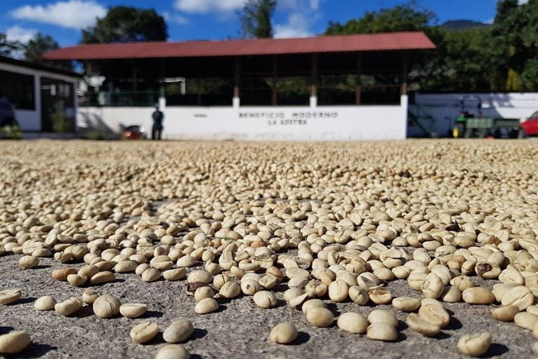 تجربة أنتيغوا غواتيمالا المتميزة + غداء