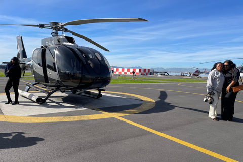 Le Cap : visite en hélicoptère (prise en charge à l&#039;hôtel)