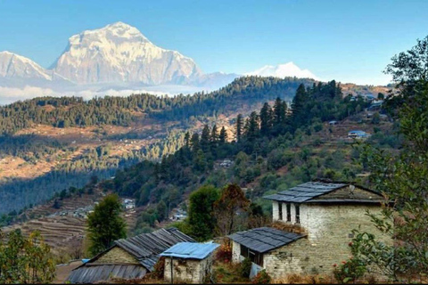 Mohare Danda Trek: Caminhada curta e fácil