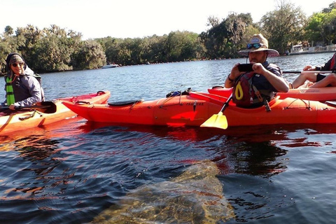 Blue Springs: Manatee Kayak Tour solo kayak