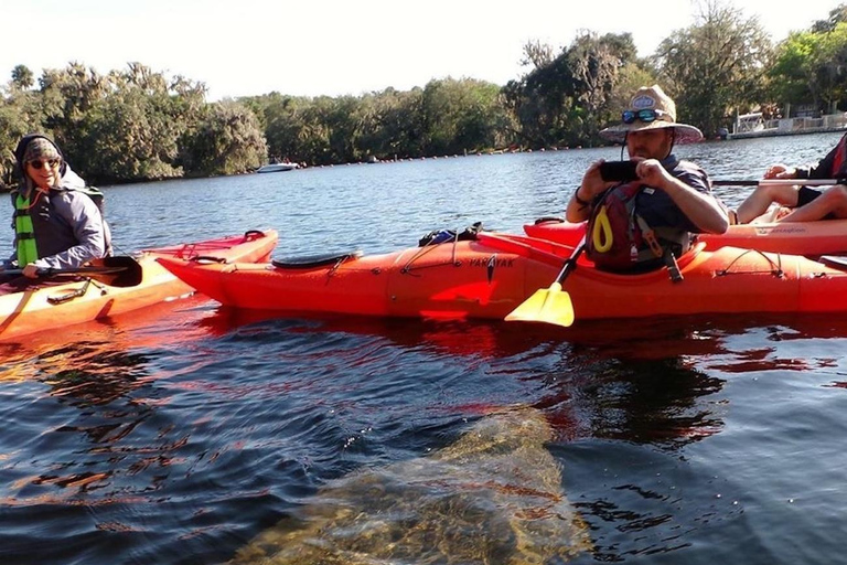 Blue Springs: Manatee Kayak Tour solo kayak