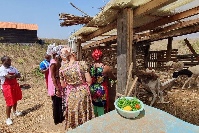 Assomada: wycieczka po farmie z lunchem i lekcją gotowania