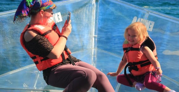 Los Cabos Sightseeing Tour to the Arch on a Glass-Bottom Boat
