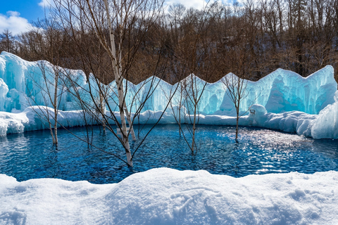 Sapporo: Lake Shikotsu Ice Festival & Lake Toya Day Trip