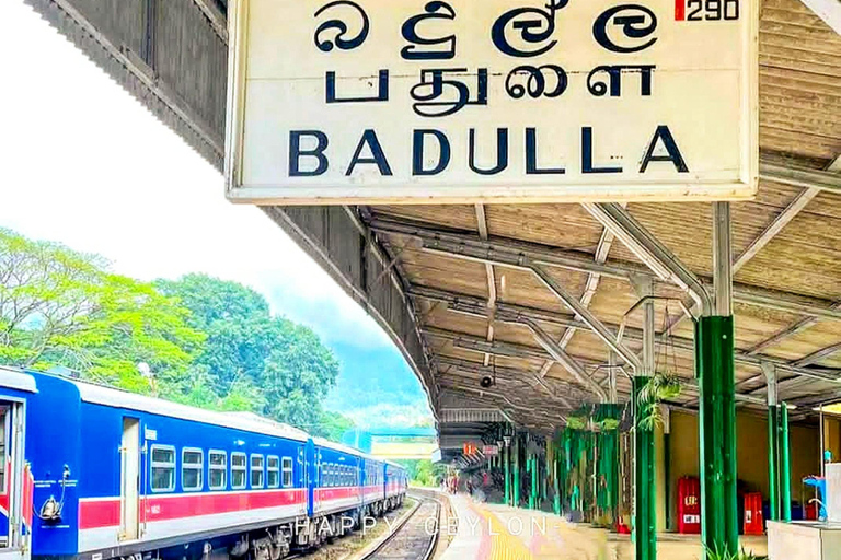 Kandy To Nanuoya Drop Tour & Morning 9.00 Ella Train Ride Kandy To Nanuoya Drop By Car & Morning Ella Train Ride 02