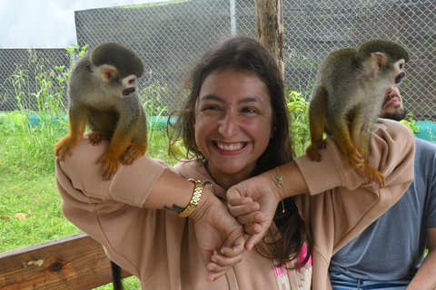 Puerto Plata: Monkey home, Damajagua Waterfalls & City Tour