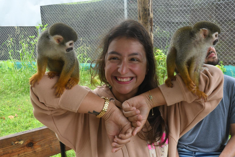 Puerto Plata: Monkey home, Damajagua Waterfalls & City Tour
