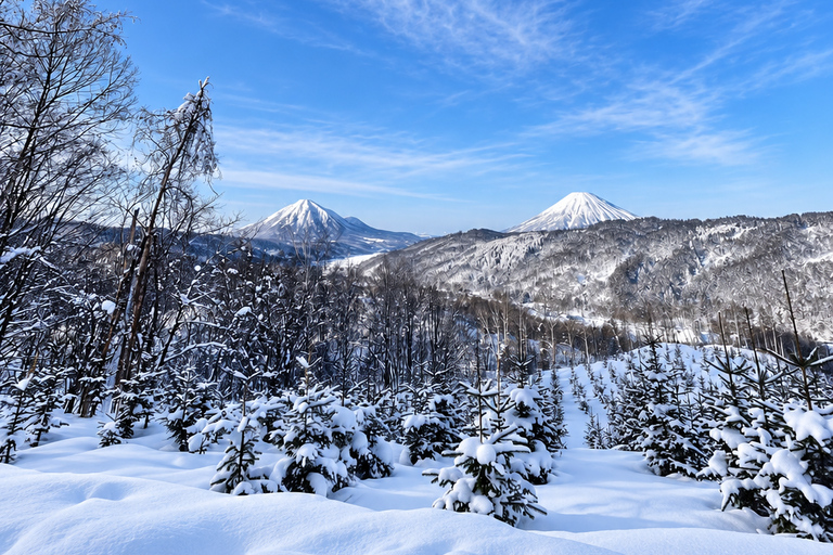 Sapporo: Snowmobile, Lake Toya, Shikotsu & Mt. Moiwa Tour