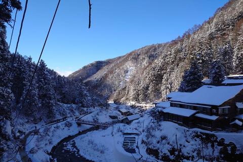 Tokyo: 5-Day Private Tour to Hiroshima with Transport