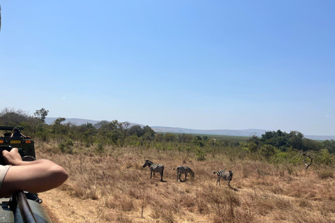 Depuis Kigali : 1 jour de safari dans l&#039;Akagera et tour en bateau. Tout compris