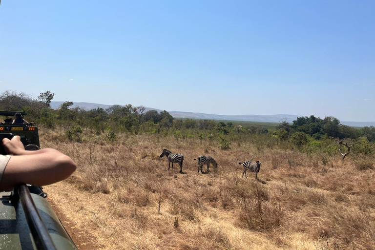 Desde Kigali: Safari y paseo en barco de 1 día por Akagera. Todo incluido