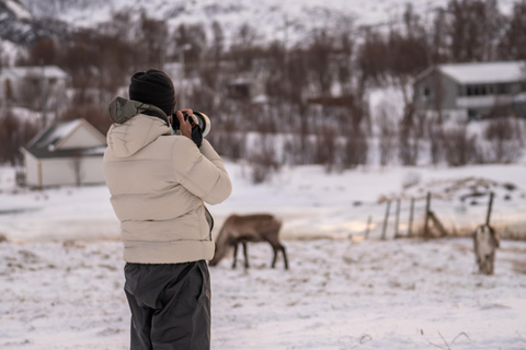 Tromsø: Kvaløya Island and Fjords Tour