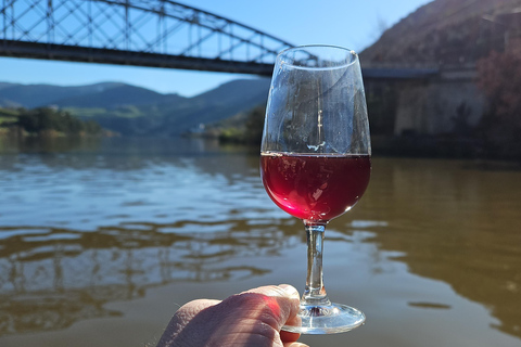 From Porto: Douro Valley Wine Tasting Tour With Hotel PickupPickup at Hotel