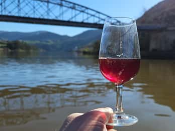 Da Porto Tour di un giorno nella Valle del Douro 2 degustazioni di vino e pranzo
