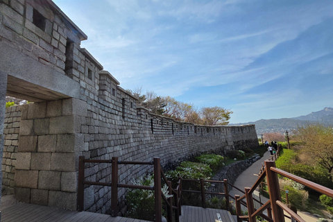Seoul: Guided Walking Tour for Seniors with Breaks