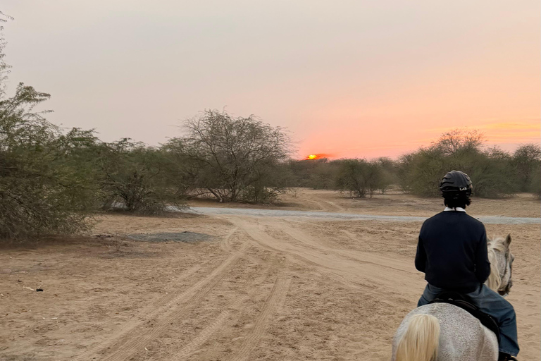 Dubai: Desert Horse Riding Experience at JSR Equestrian Club Shared Group Horse Riding - 1 Hr