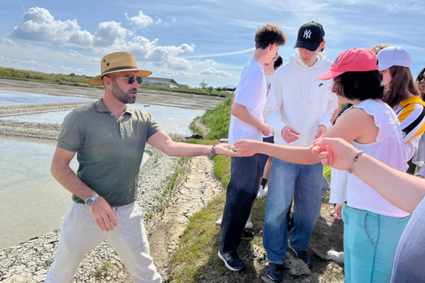 Guérande Salt Marshes tour