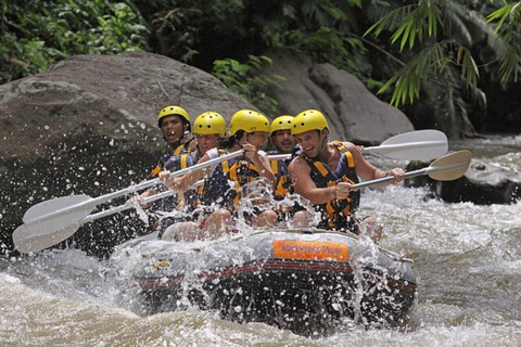 Bali: Telaga Waja White Water River Guided Rafting & Lunch White Water Rafting Trip with Meeting Point