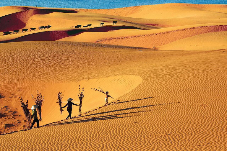 Da cidade de Ho Chi Minh: Relaxe na praia de Mui Ne em um diaExcursão em grupo