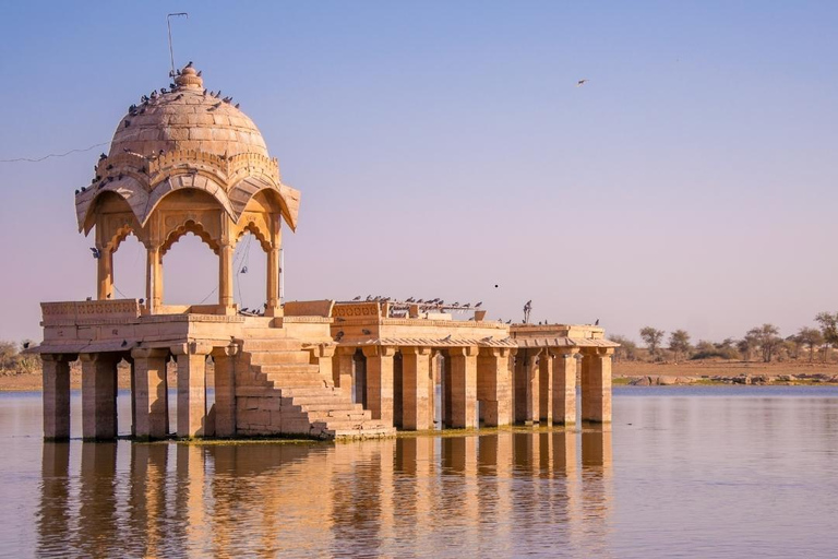 Jaipur: 8-daagse erfgoedtour door Rajasthan met vervoerJaipur: 8-daagse Rajasthan Heritage Tour met transfers