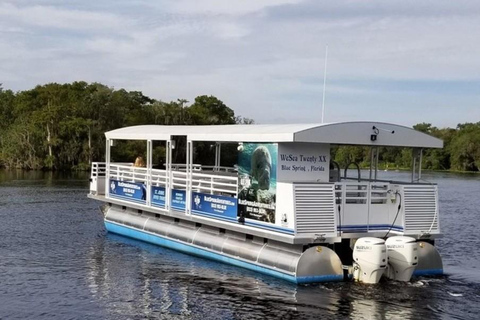 Orange stad: Blue Spring State Park St. Johns River Cruise1 timmes kryssning